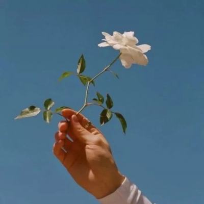 鄂州房产网下载